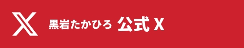 公式X